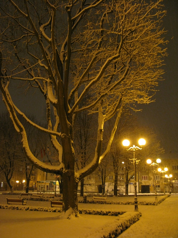 Skwer T. Kościuszki zimą, 2016 r.