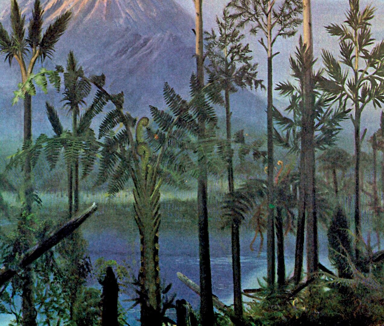 Grafika z przedstawieniem krajobrazu lasu karbońskiego